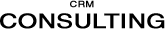CRM Consulting